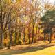 Campspot slideshow image 5