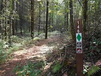WILLIS KNOB HORSE CAMP Trail picture