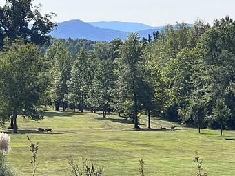 Black Bear Plantation (www.BlackBearPlantation.com)