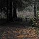 LIMBERLOST CAMPGROUND