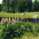 Golf course scene with pond, fairway and flowering plants in foreground — from the Golf Course & Rates page, useful to illustrate course landscaping and scenery.