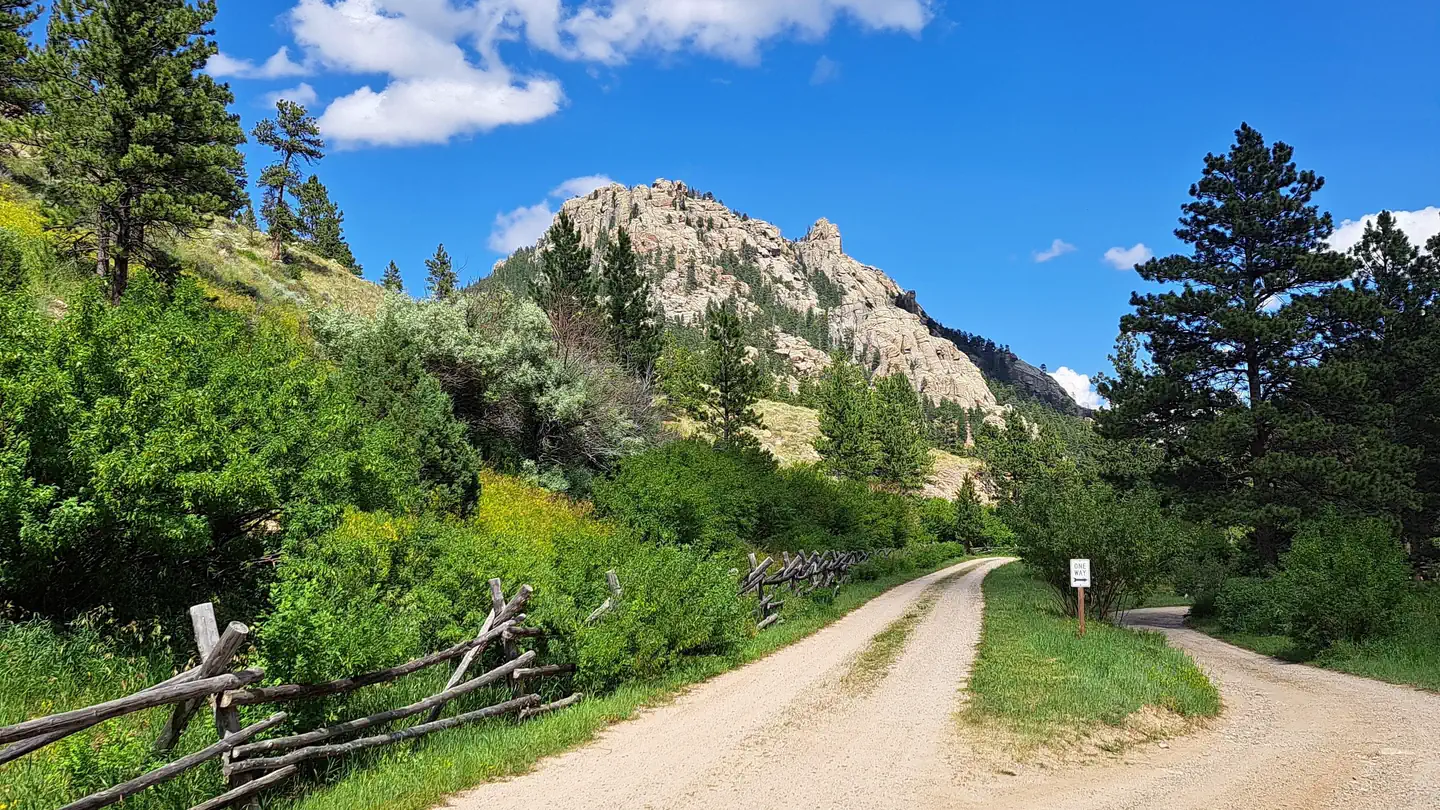 Curtis Gulch Campground