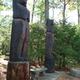 Carved wooden totem sculptures among trees — matches the Our Park page imagery and highlights unique on‑site features/sculptures within the campground grounds.
