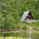 HARVEY LAKE CABIN