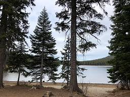 Little Cultus Campground