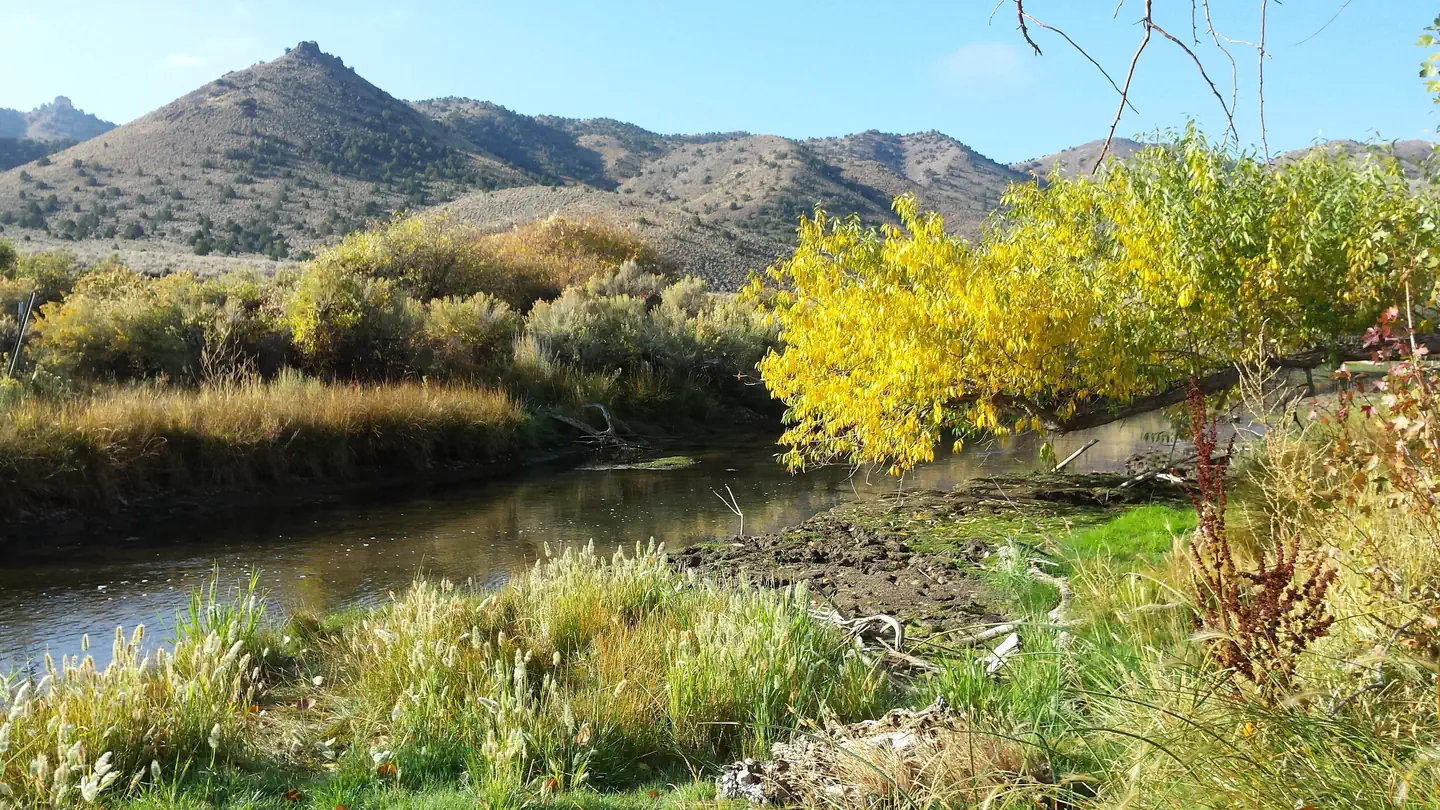 Hanging Rock Campground