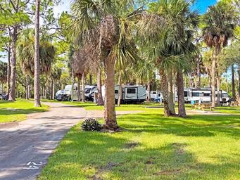 Ground-level view of RV sites among trees with picnic tables and paved pads — clearly shows campsite appearance and spacing on the property.