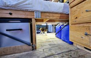 Bike ready & pet friendly, meet Envy the Nissan NV