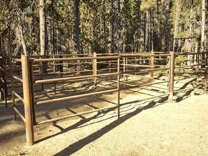 Whitefish Horse Camp