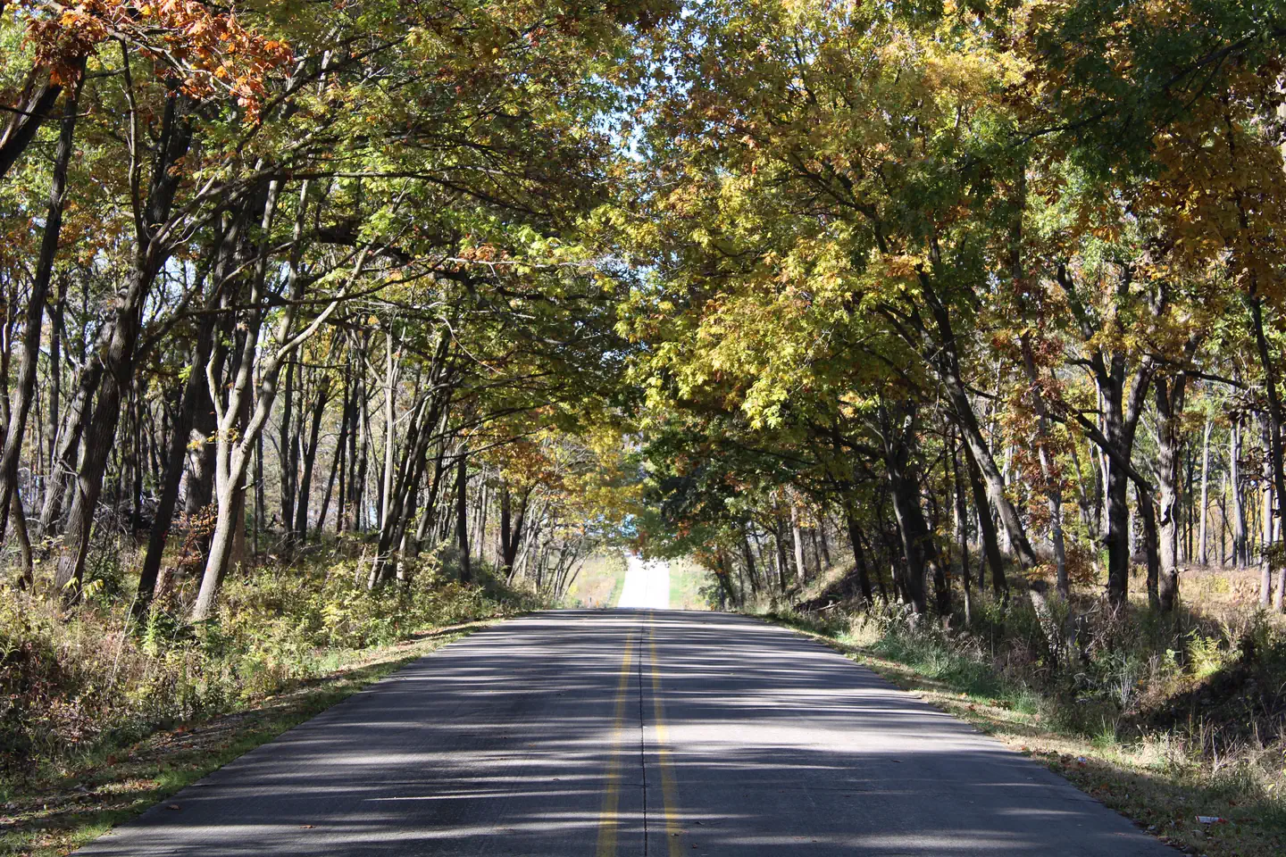 Oak Grove Picnic Area