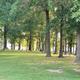 Picnic Area, South Marcum Day Use