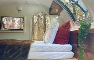 Happy the Camper