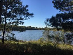 Camp David RV Resort