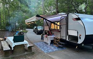 2020 Forest River RV Wildwood FSX 179DBKX