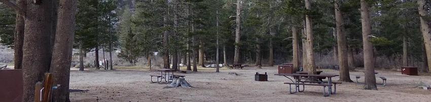 G01, Loop: PALISADES GROUP CAMPGROUND