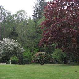 Friday Creek Campground