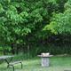 Picnic table and fire ring in a grassy, treed site — useful close-up of a typical campsite and on-site amenities.
