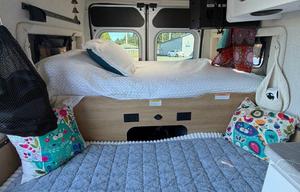 Driftwood Dreamers Camper Van/pet friendly