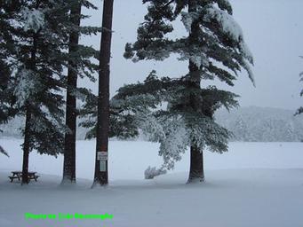 Winter scene of the lake/shore with snow‑covered trees and picnic table — shows seasonal appearance of the campground grounds (from the site's winter photo set).