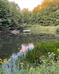 Scenic pond with dock and surrounding forest — shows on-property natural feature and waterfront setting referenced in the About page photos.