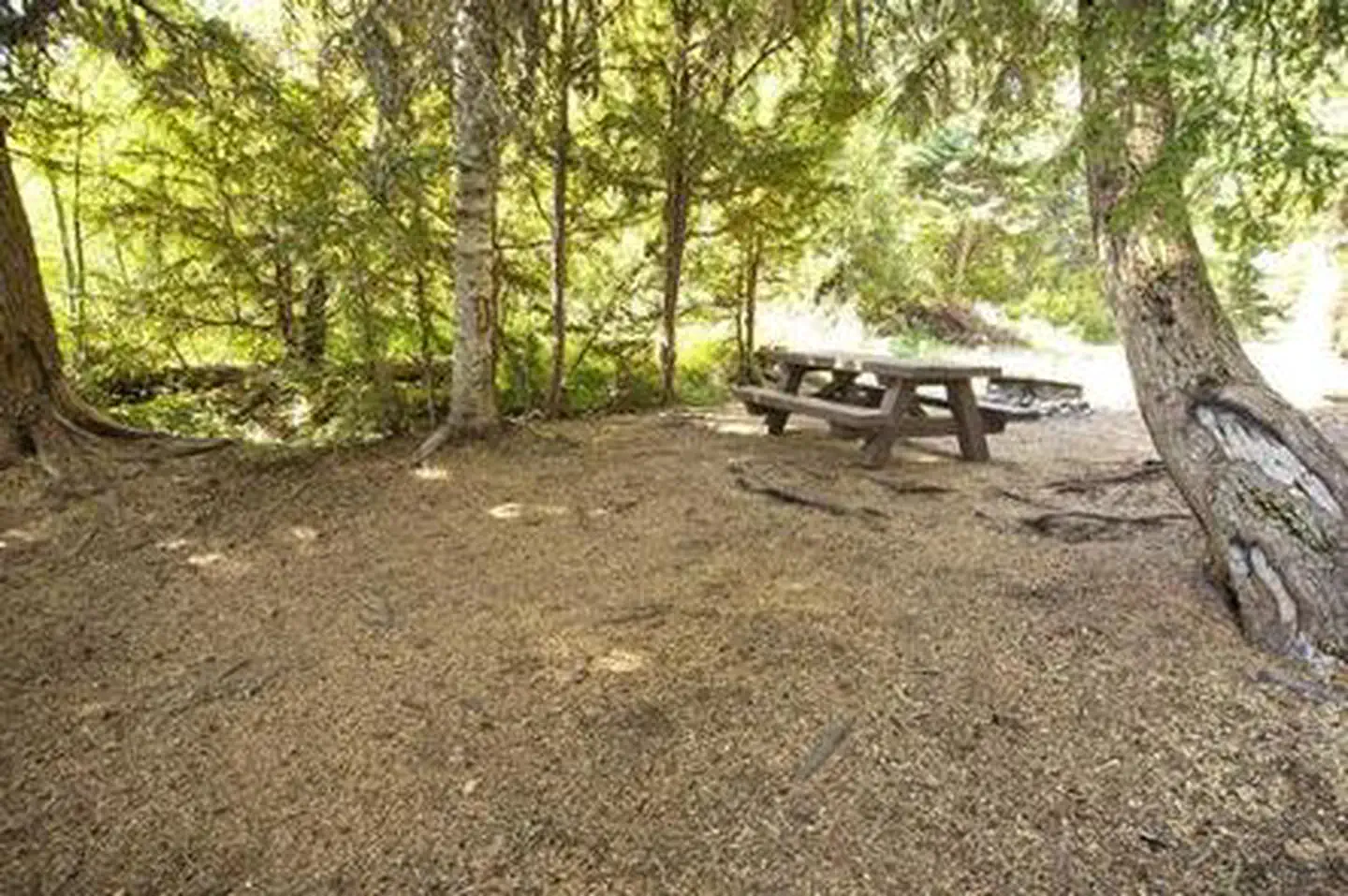 Princess Creek Campground