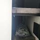2022 Keystone RV Passport SL 221BH RV rental photo 3