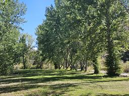 Chukar Park Campground