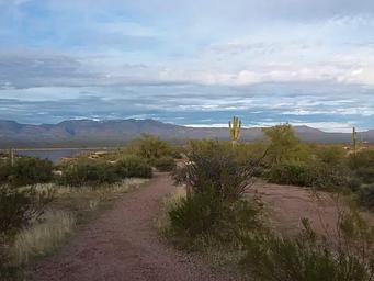 Grapevine Group Campground
