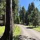 Road into Campground