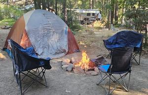 2023 Forest River RV Cherokee Wolf Pup 17JG