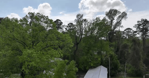 Tensaw River Park