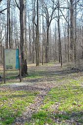 Delta National Forest - Camping