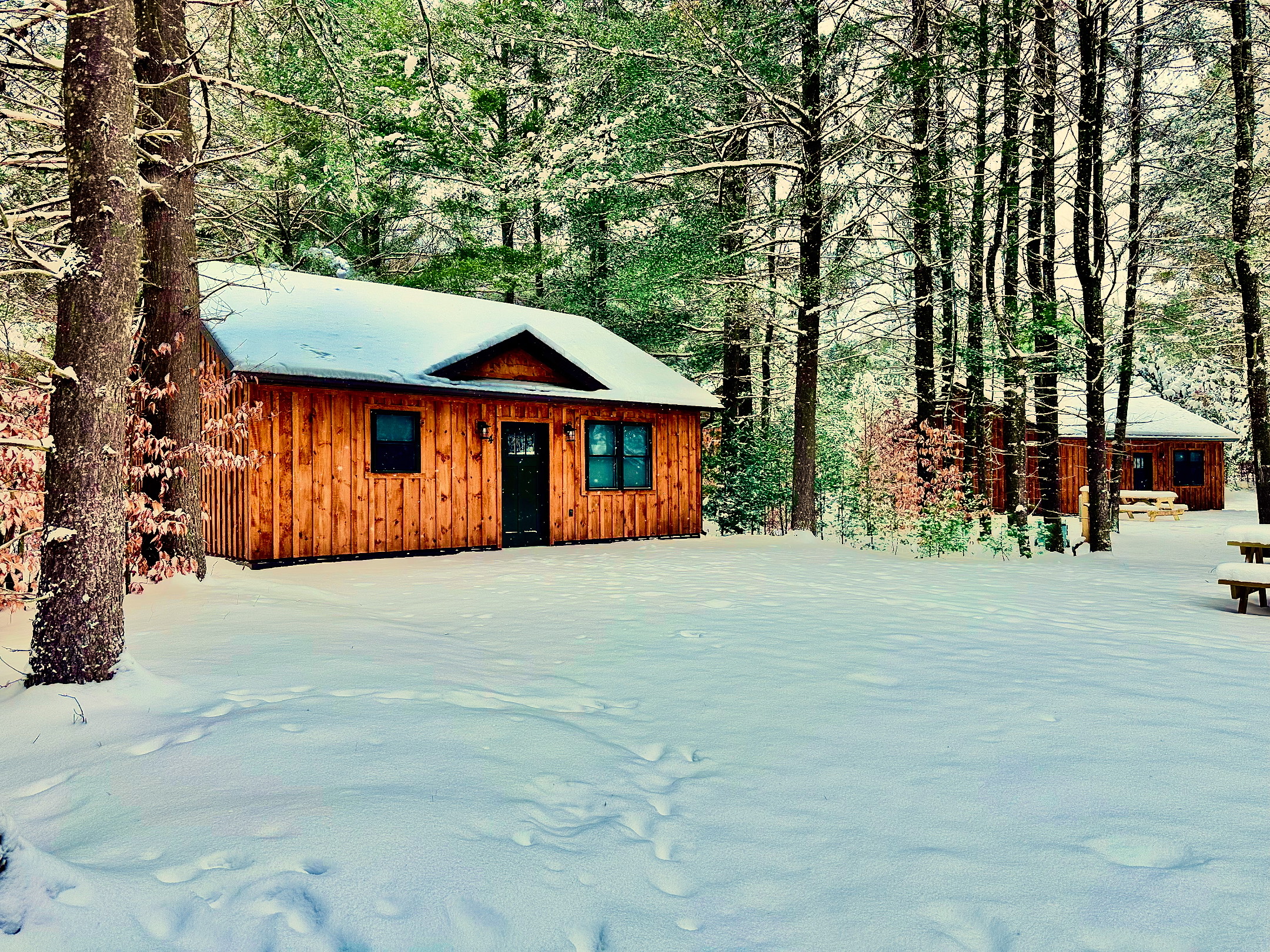 Raven Acres Cabins and RV Resort