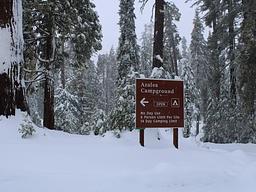 Azalea Campground