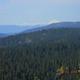 CALPINE LOOKOUT