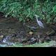 Campspot slideshow image 2