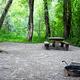 Campsite in Leigh Creek Campground surrounded by trees