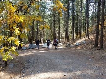 Pioneer RV Park