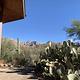 Views of mountains and cactus just outside the ramada
