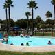 People swimming and playing in a small outdoor pool surrounded by palm trees and a metal fence, with a building, vehicles, and shade tents in the background.