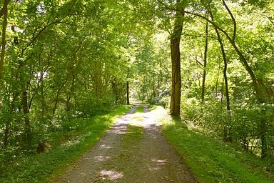 Mccoy's Ferry Campground
