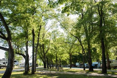 Tom Sawyer's RV Park