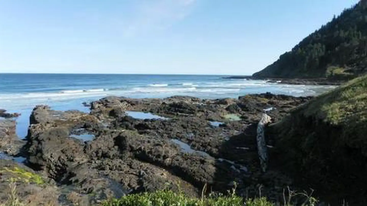 Cape Perpetua