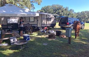 2020 Forest River RV Wildwood X-Lite 261BHXL