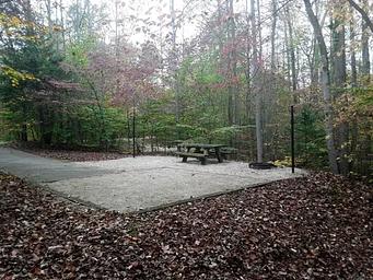 Zilpo  DANIEL BOONE NAT. FOR.