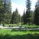Langohr Campground - campsite surrounded by pine trees, picnic table & fire ringCampsite