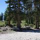 Twelve  Mile Flat Campground