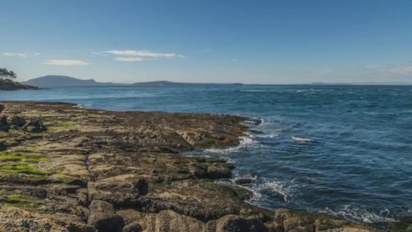 Patos Island