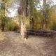 Picnic Tables at the campsite