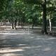Bloomington West Park Campground example site